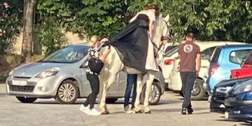 Девојка од Сплит на коњ се појави на матура и стана хит