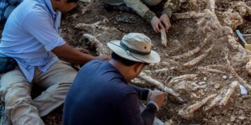 Научници открија нов вид на диносаурус стар 72 милиони години