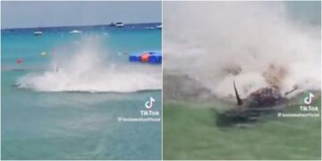 (Видео) Туна предизвика паника на плажа на Малта