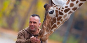 Жирафата Каспер пцовисала од салмонела во скопската Зоолошка градина