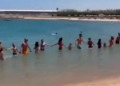 (Видео) Срби вртеа оро во море и ја кренаа на нозе цела Хургада
