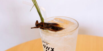 Специјалитети од свилена буба и штурци во кари: инсектите се враќаат на менијата во Јапонија