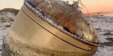 (Видео) Морето исфрли мистериозен објект на плажа во Австралија