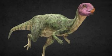 (Видео) Палеонтолози во Тајланд открија досега непознат вид на диносаурус