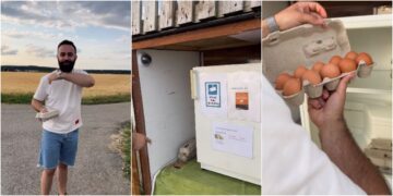 (Видео) Македонец на Инстаграм покажува како се купуваат јајца во Германија: да беше ова во Македонија ќе го однесеа сосе кокошките