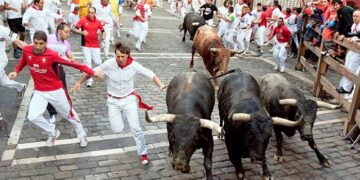 Во Памплона почна фестивалот на трки со бикови, учесниците се веселат со песна и вино