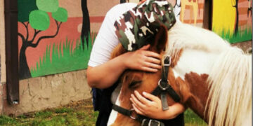 Угина и третиот коњ во Скопската зоолошка градина