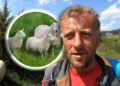 (Видео) Босанец си ги сака овците повеќе од жените: Досега три сопруги ме оставија поради нив