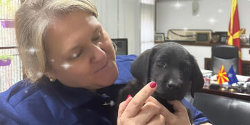 Ширете љубов, а не омраза и лаги, рече министерката Славјанка откако ја вдоми Стела