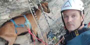 (Фото) Алпинист спаси дива коза во Крива Паланка