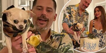 Софија Вергара и сопругот бараат старателство за нивното куче кое го третираат како да им е ќерка