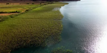 Во Охридското езеро во Албанија откриена населба стара 8.500 години