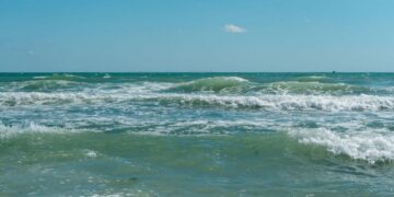 Океаните ја достигнуваат највисоката температура досега: ова носи страшни последици за планетата