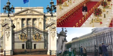 Никој од кралското семејство не сака да живее во Бакингемската палата, полна е со азбест и сакаат да ја претворат во музеј