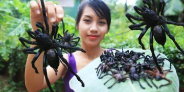 (Видео) Девојка од Кореја јаде живи пајаци