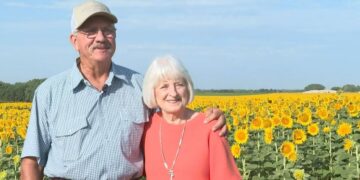 Фармер од Америка посадил 1,2 милиони сончогледи за 50 години брак