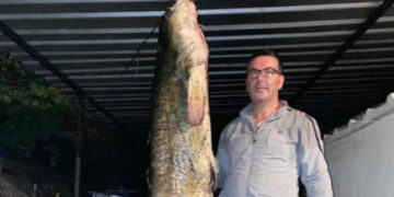 Сом тежок 80 килограми уловен на Калиманско Езеро