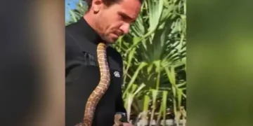 Австралиец казнет со 1.400 евра оти сурфал со змија околу вратот