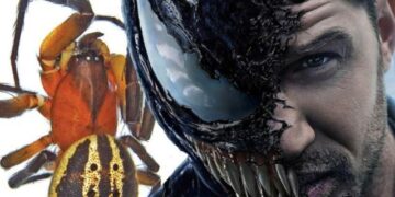 Пајак откриен во Австралија го доби името по глумецот Том Харди