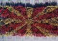1.200 ученици со перформанс формираа македонско знаме на плоштадот во Прилеп