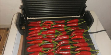 Рецепт за лути пиперчиња на тостер