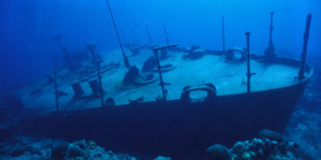 (Видео) Јапонски научници сметаат дека џиновски лигњи ги потопуваат бродовите во Бермудскиот Триаголник