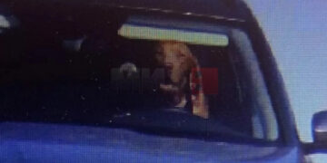 Куче фатено зад волан, сопственикот казнет