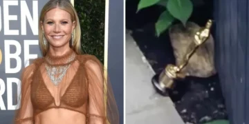 Гвинет Палтроу статуетката од освоениот Оскар во 1998 година го користи како стопер за врата