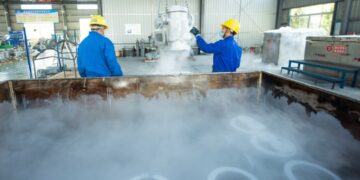 Богаташи ги замрзнале своите тела со надеж во иднина да оживеат, а сега Русинка ги украла од компанијата на нејзиниот екссопруг, каде што биле чувани