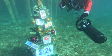 Традицијата продолжува, блесна новогодишната елка под вода