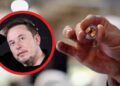 Маск: Првиот човек со мозочен имплант контролира компјутерски глушец со своите мисли