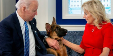 Кучето на Бајден најмалку 24 пати каснало членови на Тајната служба