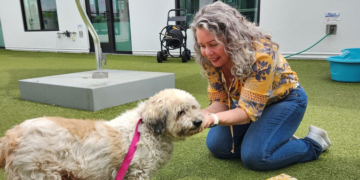 Пронајдено куче кое исчезна од семејниот дом пред 10 години, вратено му е на сопственикот