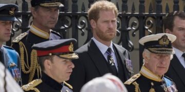 Кралот Чарлс нема да го види својот син Хари, бидејќи е премногу зафатен