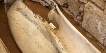 Саркофаг од римската ера откриен на плажа во Варна