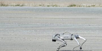 Кинески научници тестираат куче-робот за да им помогне на лицата со оштетен вид