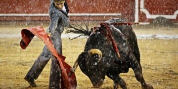 Голема победа на активистите! Колумбија ги забрани борбите со бикови