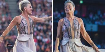 Пинк откажа концерт поради нејзината здравствена состојба, им објасни се на своите фанови преку Инстаграм