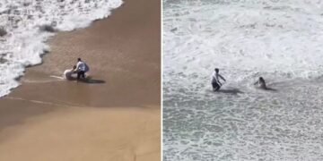 (Видео) Младенци сакаа да се фотографираат на плажа, набрзо се покајаа