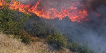 Потребни се донации за жителите на источна Македонија кои се погодени од пожарите