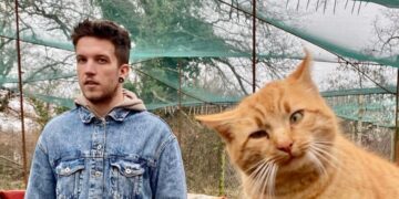 Бејби Лазања се расплака на концерт, ги извести фановите дека угинала неговата позната мачка