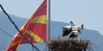 Попис на штрковите во Македонија