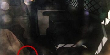 Тејлор Свифт донираше 5 милиони долари за жртвите од ураганот во Флорида