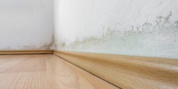 Како да се ослободите од влагата во вашиот дом