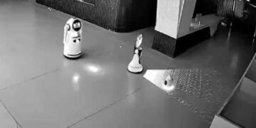 (Видео) Минијатурниот робот „Ербаи“ убедил 12 поголеми колеги да побегнат со него