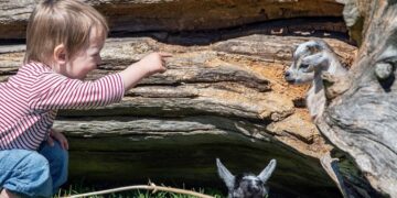 Данците одгледуваат емпатични и независни деца