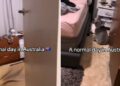 (Видео) Шест милиони прегледи: не можеше да поверува што пронајде во својот дом во Австралија