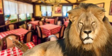 Виц на денот: Лав и бик во кафеана