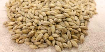 Оваа евтина житарка треба почесто да јадеме, најдовме 6 причини зошто