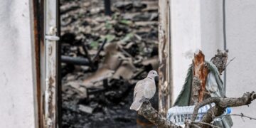 За хероите од Кочани